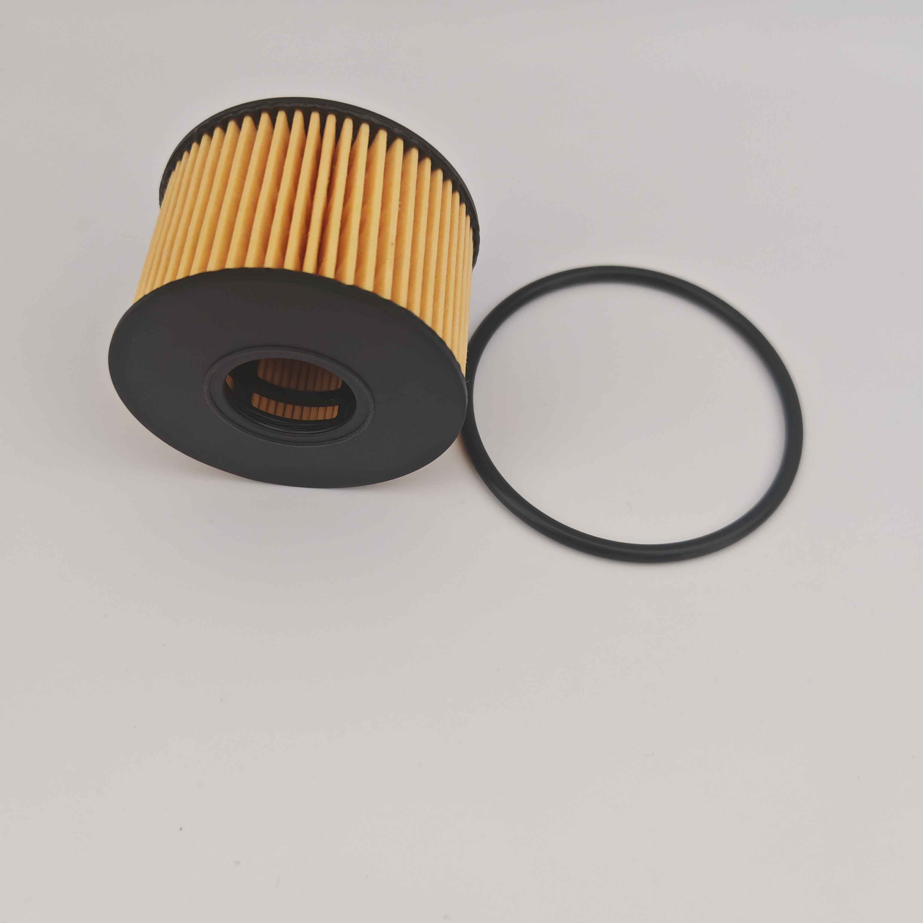 MS1-6744-AA OX1243D FOH5013 Oljefilter for JMC